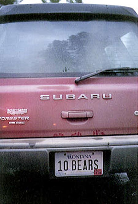 10-bears-subaru-450